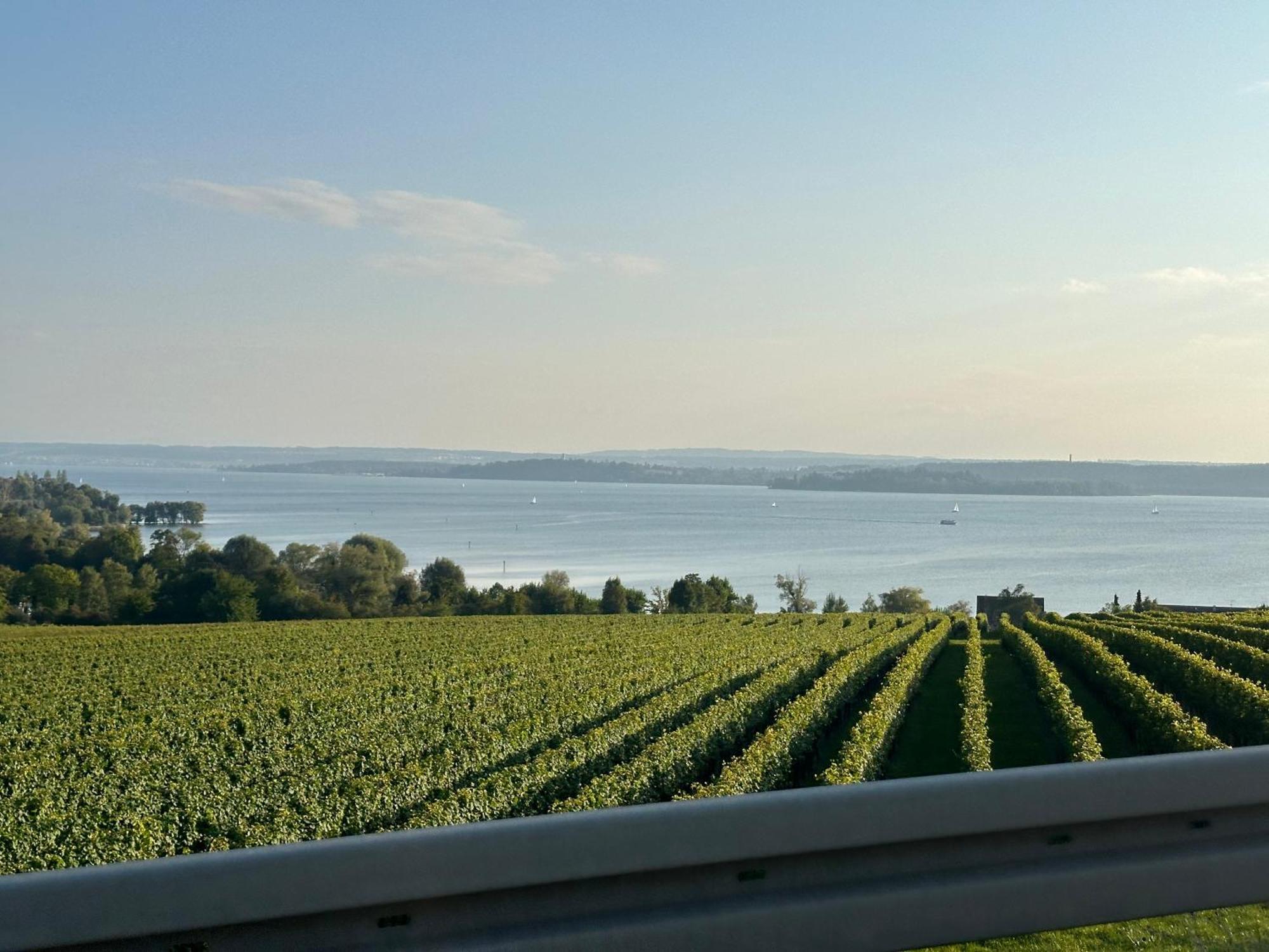 Kevins Ferienwohnungen Uhldingen-Muhlhofen Bagian luar foto
